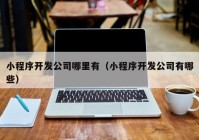 小程序開發(fā)公司哪里有（小程序開發(fā)公司有哪些）