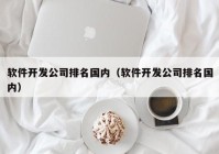 軟件開發(fā)公司排名國內（軟件開發(fā)公司排名國內）