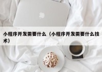 小程序開發(fā)需要什么（小程序開發(fā)需要什么技術(shù)）