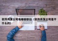 軟件開發(fā)公司有哪些職位（軟件開發(fā)公司是干什么的）