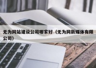 無為網(wǎng)站建設(shè)公司哪家好（無為網(wǎng)新媒體有限公司）