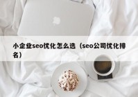 小企業(yè)seo優(yōu)化怎么選（seo公司優(yōu)化排名）