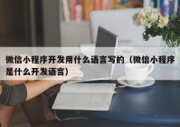 微信小程序開發(fā)用什么語言寫的（微信小程序是什么開發(fā)語言）