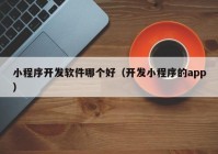 小程序開(kāi)發(fā)軟件哪個(gè)好（開(kāi)發(fā)小程序的app）