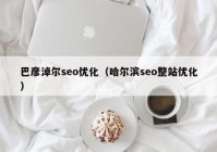 巴彥淖爾seo優(yōu)化（哈爾濱seo整站優(yōu)化）