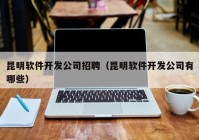 昆明軟件開發(fā)公司招聘（昆明軟件開發(fā)公司有哪些）