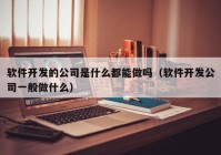 軟件開發(fā)的公司是什么都能做嗎（軟件開發(fā)公司一般做什么）