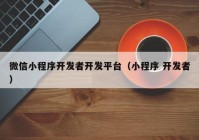 微信小程序開發(fā)者開發(fā)平臺（小程序 開發(fā)者）