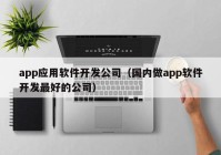 app應用軟件開發(fā)公司（國內(nèi)做app軟件開發(fā)最好的公司）