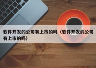 軟件開發(fā)的公司有上市的嗎（軟件開發(fā)的公司有上市的嗎）