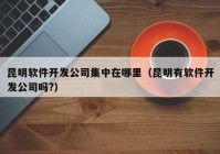 昆明軟件開發(fā)公司集中在哪里（昆明有軟件開發(fā)公司嗎?）